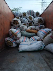 Premium Coconut Products from Indonesia - PT Celebes Coconut Indonesia (11)