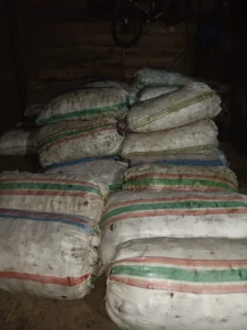 Premium Coconut Products from Indonesia - PT Celebes Coconut Indonesia (8)